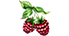 fruit bush icon