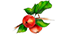 fruit tree icon