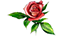 roses icon